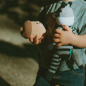 Toddler holding Handmade Brown Acorn Plush Toy and Plush Raccoon
