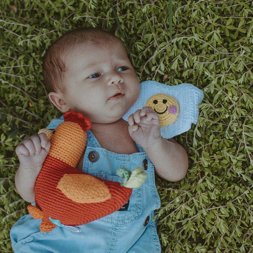 Baby in grass with Orange and Red Plush Rooster Baby Toy