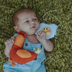Baby in grass with handmade fried egg soft toy and plush rooster