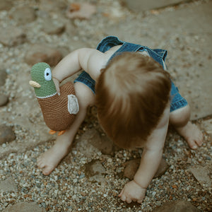 Boy with Green and Brown Mallard Duck Plush Toy